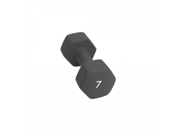 Abilica DumbBells 7 kg 