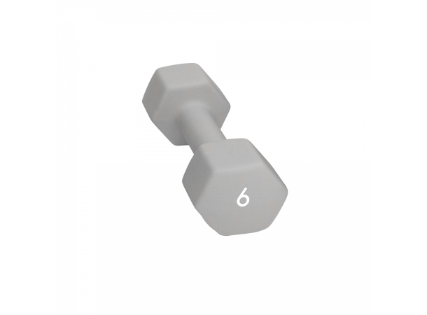 Abilica DumbBells 6 kg