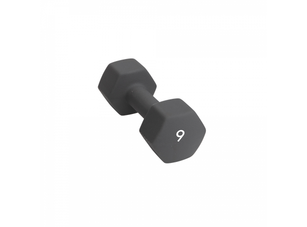 Abilica DumbBells 9 kg