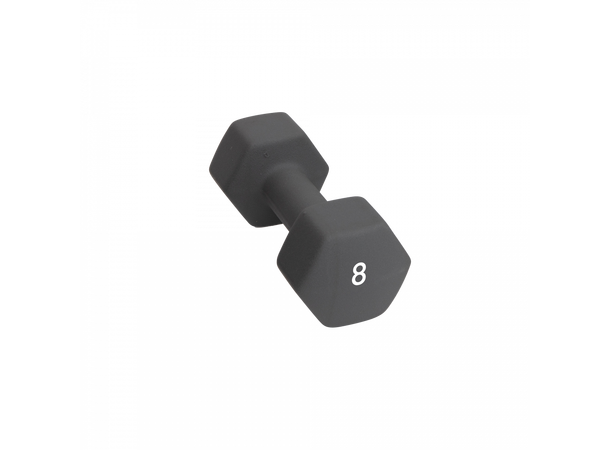 Abilica DumbBells 8 kg