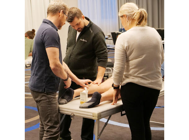 Dry Needling Basic Oslo, 30.-31. august 2025