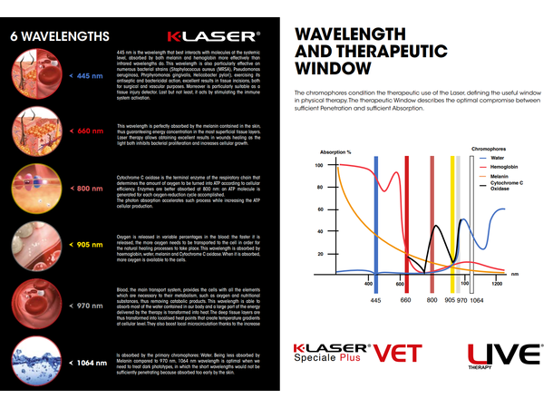 K-Laser Speciale VET