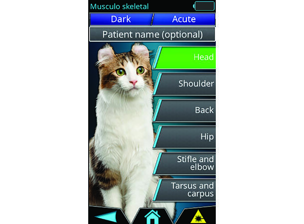 K-Laser Cube 4 VET