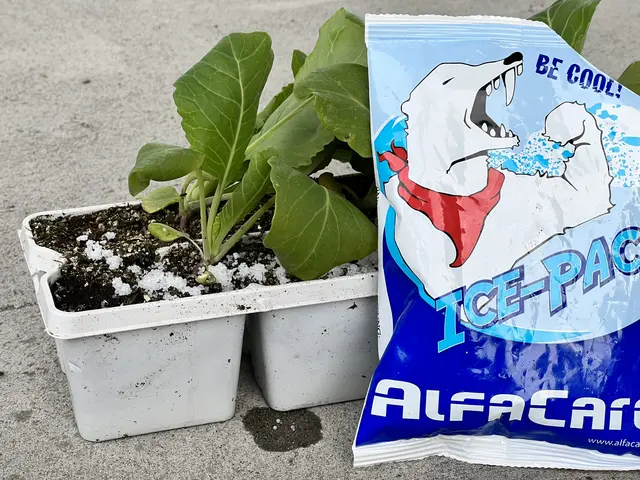 AssistSport Icepack 