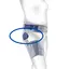 Bauerfeind CoxaTrain Skinne Joint