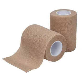Co-Plus