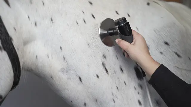 INDIBA Equus Pro 200w Clinic 
