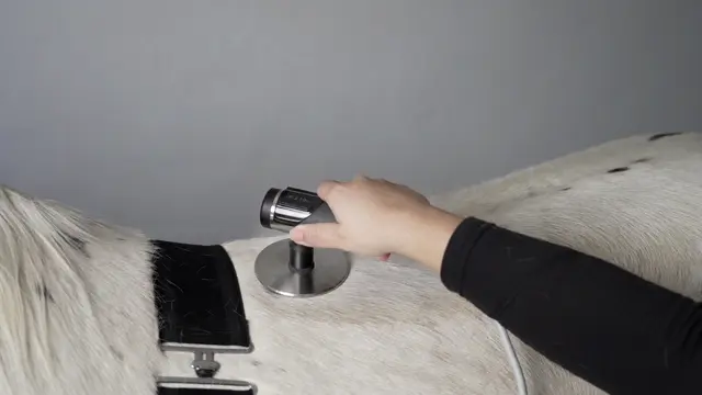 INDIBA Equus Pro 200w Clinic 