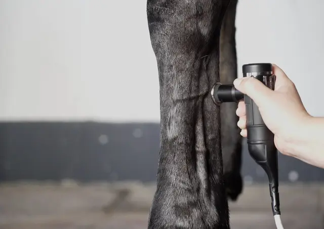 INDIBA Equus Pro 200w Clinic 