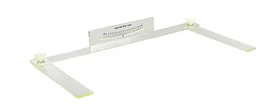 Baseline Body Level 