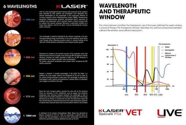 K-Laser Speciale VET 