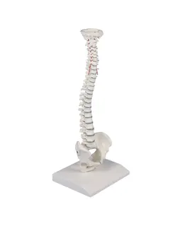 Ryggs&#248;yle 4001 Mini m/bekken og stativ H&#248;yde 38cm