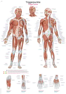 Plakat Trigger Points