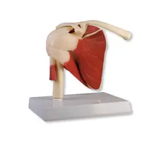 Skulder m/stativ 4661