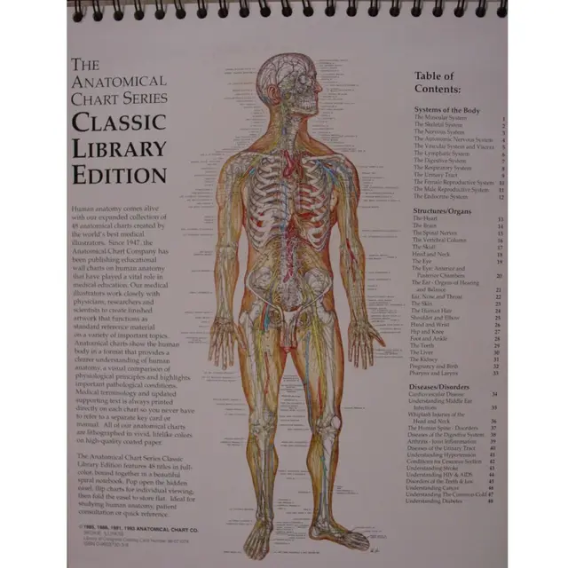 Anatomical Chart Series Blå 48 Sider - AlfaCare AS - Helse, sport og ...