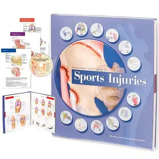 Anatomical Visual Guide To Sports Injuries