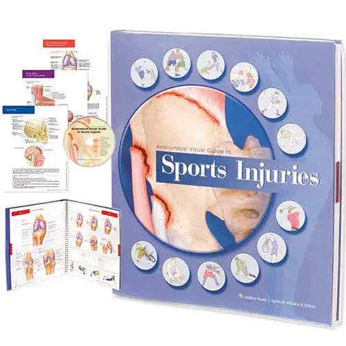 Anatomical Visual Guide To Sports Injuries 