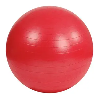 Mambo Max Treningsball 55 cm R&#248;d