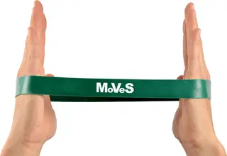 MoVeS Loop