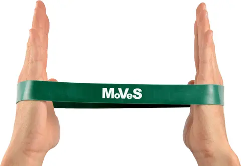 MoVeS Loop