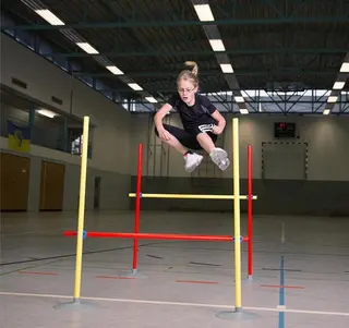 Hindersett Minihekk 6 Hekker