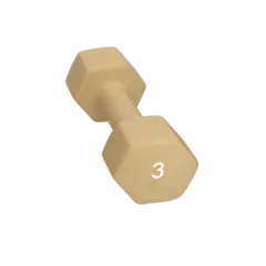 Abilica DumbBells 3 kg
