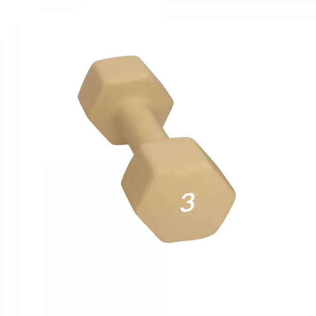 Abilica DumbBells 3 kg 