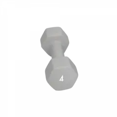 Abilica DumbBells 4 kg