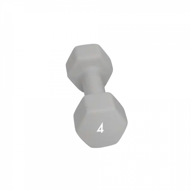 Abilica DumbBells 4 kg 