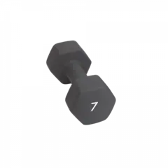 Abilica DumbBells 7 kg