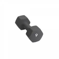 Abilica DumbBells 9 kg
