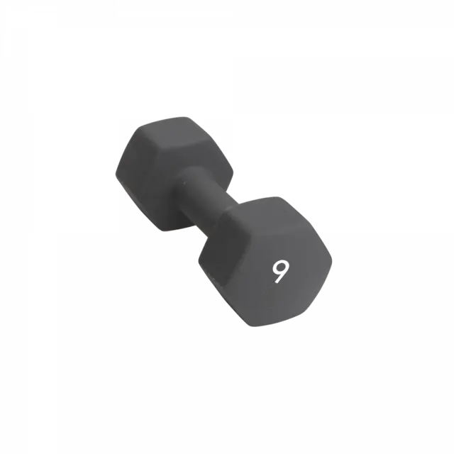 Abilica DumbBells 9 kg 
