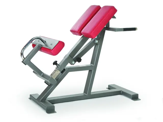 Gymleco Rygghev 