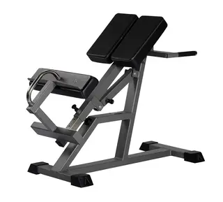 Gymleco Rygghev