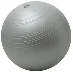 Togu Powerball Challenge ABS One size 55-65 cm