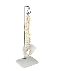 Mini Ryggs&#248;yle 38cm 4002 Hengende p&#229; stand