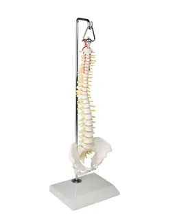 Mini Ryggs&#248;yle 38cm 4002 Hengende p&#229; stand