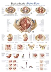 Plakat Bekkenbunn 70 x 100 cm