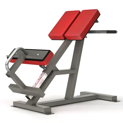 Gymleco Rygghev 45 Grader 